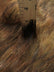Wolf Animal Long Pile Faux Fur Fabric / Sold By The Yard
