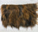 Caramel Wolf Faux Fur