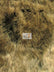 Wolf Animal Long Pile Faux Fur Fabric / Sold By The Yard