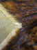 Wolf Animal Long Pile Faux Fur Fabric / Sold By The Yard