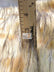 Wolf Animal Long Pile Faux Fur Fabric / Sold By The Yard
