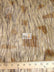 Wolf Animal Long Pile Faux Fur Fabric / Sold By The Yard