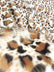 Animal Short Pile Coat Costume Faux Fur Fabric / Sold By The Yard