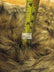 Wolf Animal Long Pile Faux Fur Fabric / Sold By The Yard