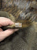 Wolf Animal Long Pile Faux Fur Fabric / Sold By The Yard