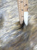 Wolf Animal Long Pile Faux Fur Fabric / Sold By The Yard