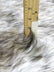 Wolf Animal Long Pile Faux Fur Fabric / Sold By The Yard