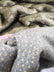 Wolf Animal Long Pile Faux Fur Fabric / Sold By The Yard