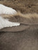 Animal Short Pile Coat Costume Faux Fur Fabric / Sold By The Yard
