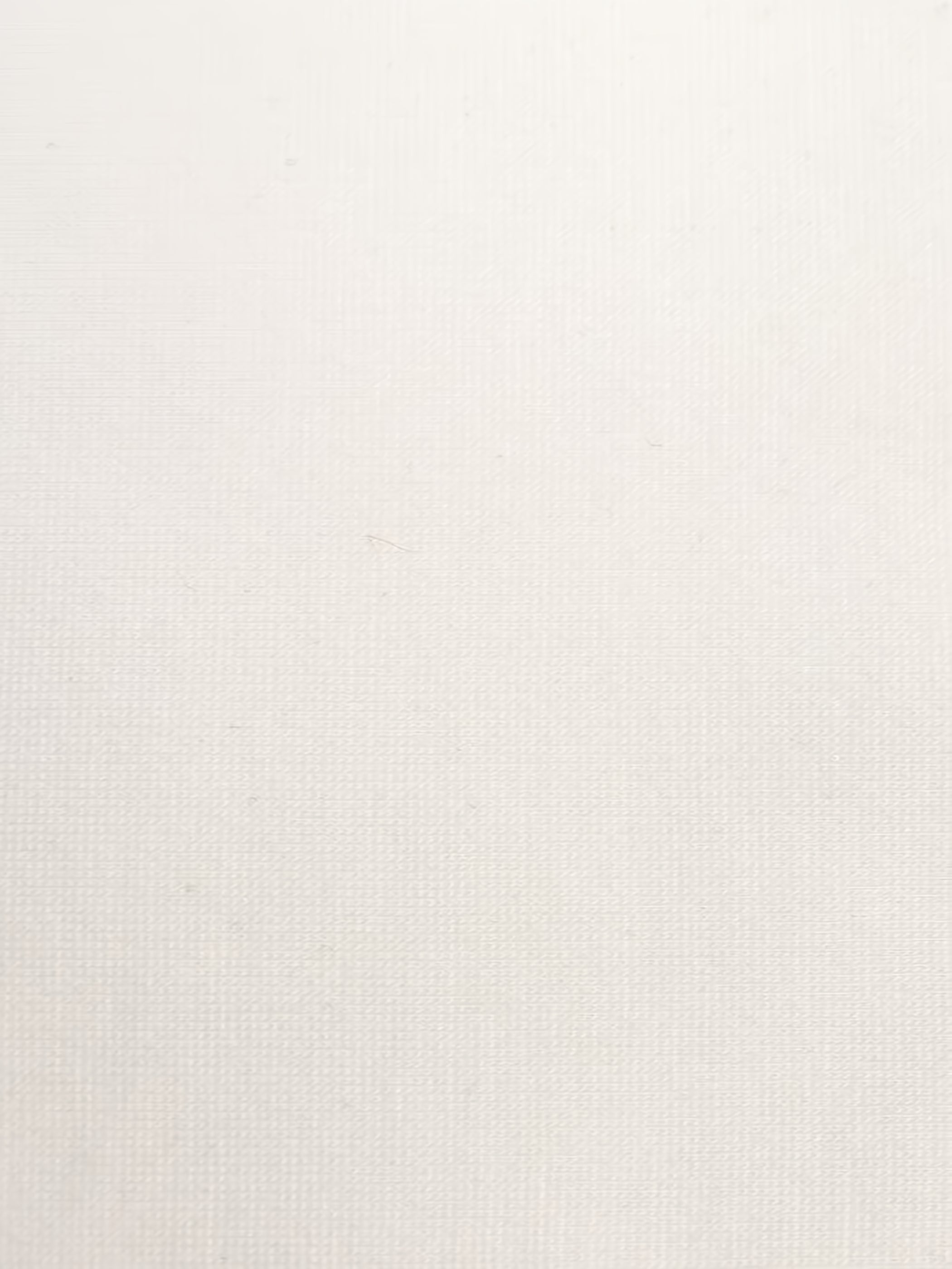 White 320 GSM 67% RAYON/28% NYLON/5 % SPANDEX CASANOVA Fabric