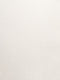 White 320 GSM 67% RAYON/28% NYLON/5 % SPANDEX CASANOVA Fabric