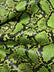 Calico Python Snake Vinyl Fabric / 30 Yard Bolt