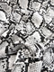 Calico Python Snake Vinyl Fabric / 30 Yard Bolt