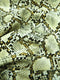 Calico Python Snake Vinyl Fabric / 30 Yard Bolt