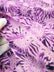 Hand Dyed 100% Cotton Quilt Batik