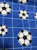 Net Soccer Balls Blue Fleece Printed Fabric.