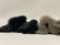 Short Shag & Shaggy Long Pile New Formulation Samples - Free Sample of Each with Free Shipping