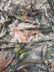 Printed Spandex Fabric Sold By The Yard