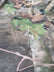 Printed Spandex Fabric Sold By The Yard