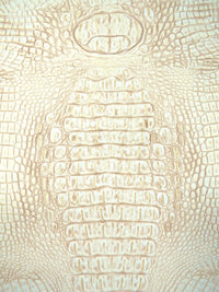 White/Gold Metallic Caiman Gator Vinyl