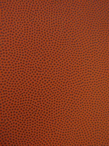 Sports Vinyl Fabric / Basketball