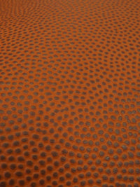 Sports Vinyl Fabric