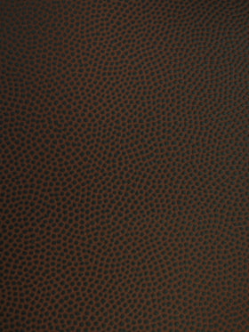 Sports Vinyl Fabric / Football