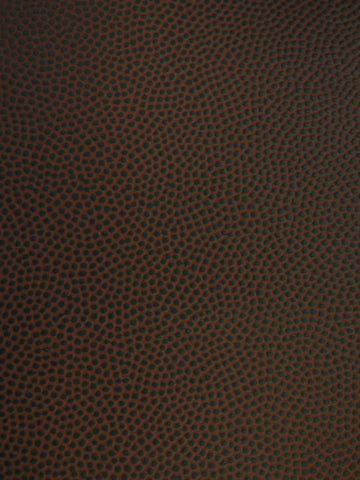 Sports Vinyl Fabric / Football