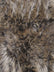 Fox Animal Faux Fur / Sold By The Yard