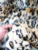 Leopard Cheetah Animal Long Pile Faux Fur Fabric / Sold By The Yard