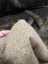 Wolf Animal Long Pile Faux Fur Fabric / Sold By The Yard