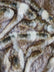 Fox Animal Faux Fur / Sold By The Yard
