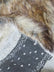 Fox Animal Faux Fur / Sold By The Yard