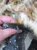 Fox Animal Faux Fur / Sold By The Yard