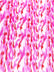 Sunset Multi-Color Faux Fur Fabric /  Sold by the Yard