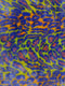 Ecoshag Hippie Jaguar Faux Fur Fabric
