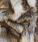 Animal Short Pile Coat Costume Faux Fur Fabric / Sold By The Yard