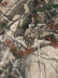 Camouflage Fleece Printed Fabric - Desert Mossy Oak - Sold By The Yard