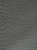 Classic Ostrich Upholstery Vinyl Fabric / Sold By The Yard