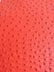 Red Classic Ostrich Upholstery Vinyl Fabric / Sold By The Yard