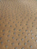 Brown Classic Ostrich Upholstery Vinyl Fabric / Sold By The Yard