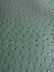 Hydra Gator Green Classic Ostrich Upholstery Vinyl Fabric / By The Roll - 30 Yards