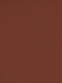 CINNABAR Premium Auto & Contract Vinyl - Palma Vinyl