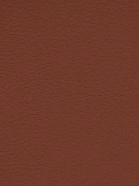 CINNABAR Premium Auto & Contract Vinyl - Palma Vinyl