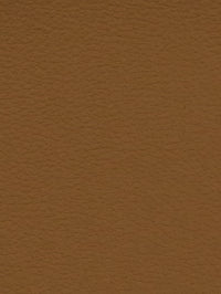 RUST Premium Auto & Contract Vinyl - Palma Vinyl
