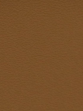 RUST Premium Auto & Contract Vinyl - Palma Vinyl
