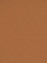 Premium Auto & Contract Vinyl - Palma Vinyl