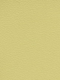 VANILLA Premium Auto & Contract Vinyl - Palma Vinyl