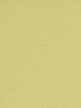 VANILLA Premium Auto & Contract Vinyl - Palma Vinyl