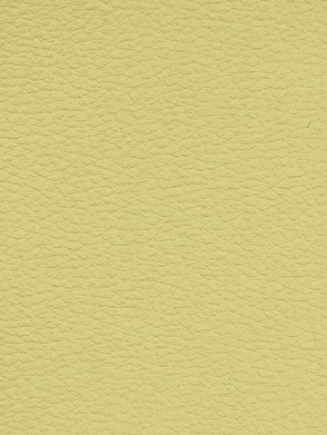 VANILLA Premium Auto & Contract Vinyl - Palma Vinyl